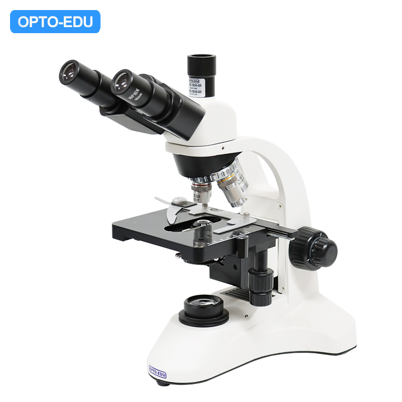 Microscópio Biológico, Trinocular